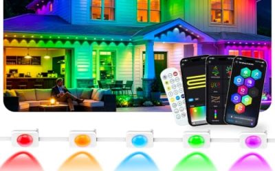 7 Best Christmas Lights for House (October 2026)