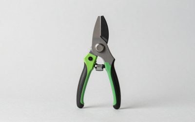 Top Rated Pruners for Roses, Shrubs and Fruit Trees